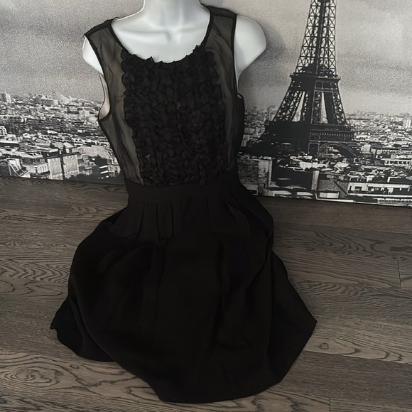 Max and Cleo Elegant Black ruffle sheer Sleeveless Dress Sz M - Picture 11 of 12
